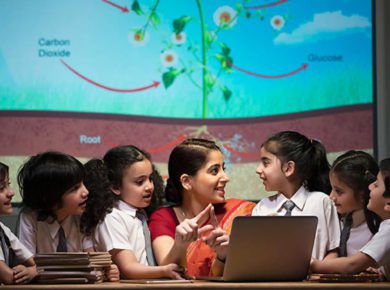 elementary school teachers