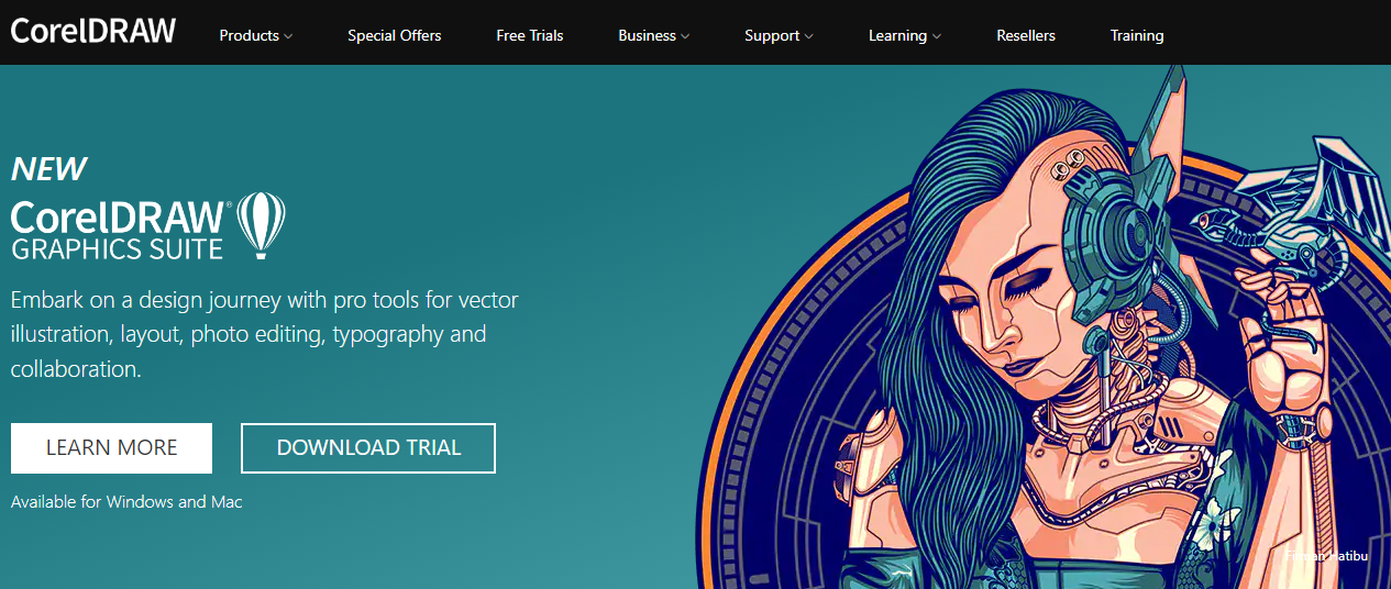 The Best Graphic Design Software For Beginners To Teach Online ...